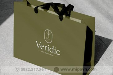 Mẫu Túi In Giấy Đẹp | Xu Hướng Thiết Kế Túi Giấy In Logo 2026